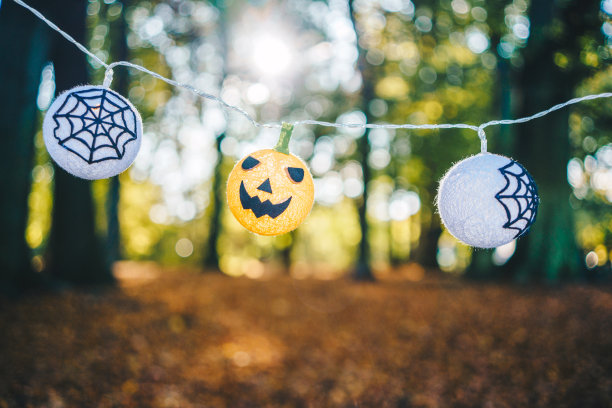 后院的万圣节装饰图片下载