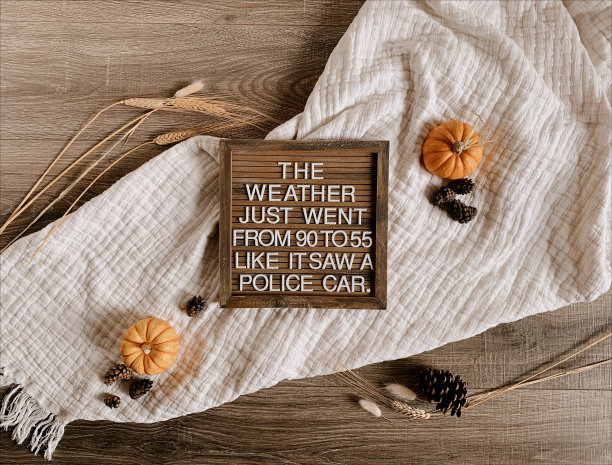 在舒适的奶油色棉毯上开玩笑地写着“天气从90度上升到55度，就像看到了一辆警车”，周围是秋天主题的物品，如南瓜、松果和干麦草图片下载