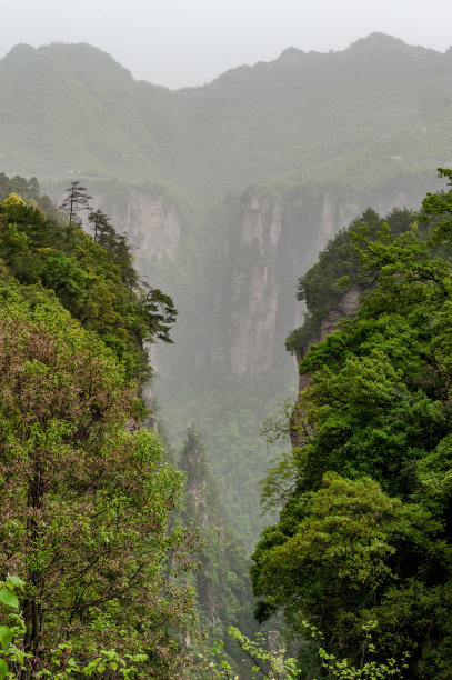 中国湖南省武陵源区张家界国家森林公园图片下载