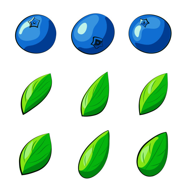 有叶蓝莓的构造者。蓝莓的集合图片下载