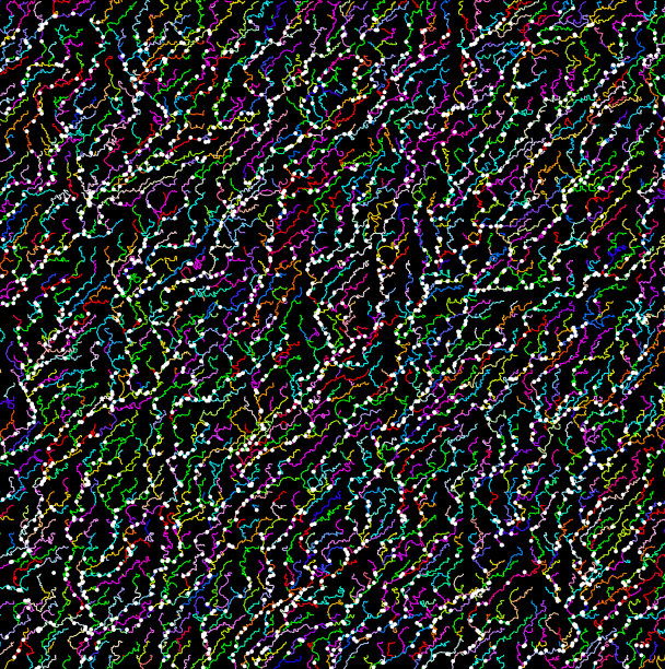 流动的色彩斑斓的粒子图片下载