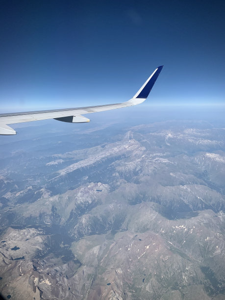 在高高的天空中飞翔。图片下载