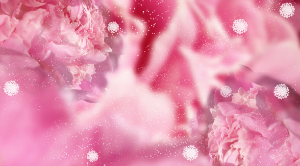 梦幻的紫色渐变背景与玫瑰花和雪花，雪，融合在一个柔和的彩色花组成。花卉边框和复制空间。模板的横幅图片下载