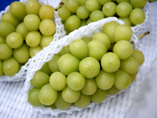 夏恩·马斯喀特在销售大厅排队图片下载