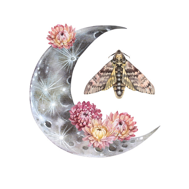 水彩魔法月亮与蛾子和波西米亚花孤立在白色背景。手绘夜月贴纸或墙纸。嬉皮风格的包装。物体在天空。剪纸艺术的速写本图片下载