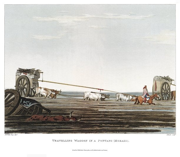 旅行的马车在潘塔诺(沼泽)，由布宜诺斯艾利斯艾尔斯和蒙特维迪亚风景如画的插图1820。图片下载