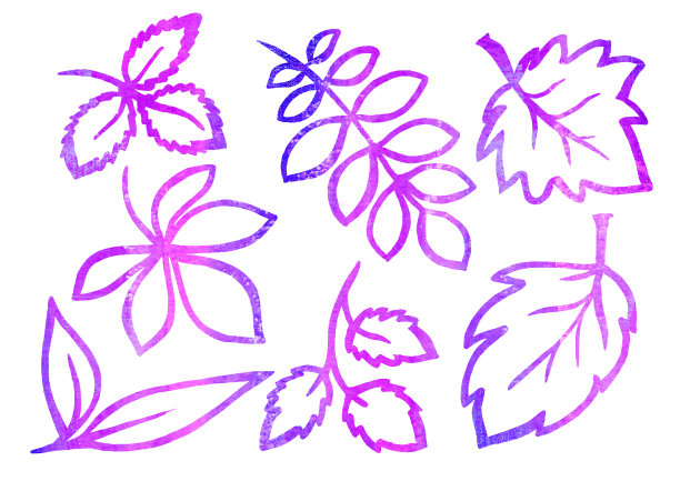 水彩画的花卉元素在白色背景上的线艺术风格。紫罗兰和紫叶图片下载