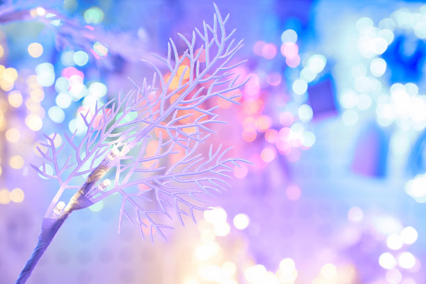 优雅的白色树枝在粉色的背景下，蓝色的圣诞灯饰散景。圣诞背景的概念。高质量的照片图片下载