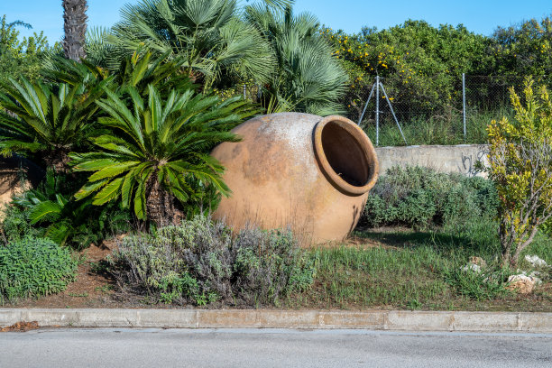 装饰花园的大陶瓷花瓶图片下载
