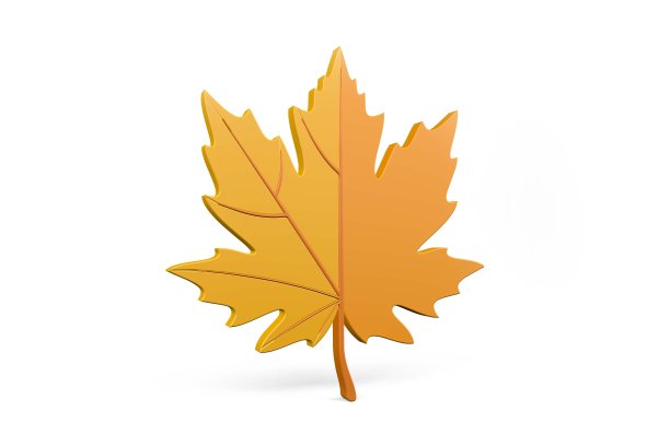 秋叶- 3d插图图片下载