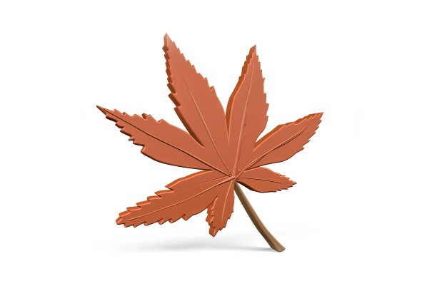 秋叶- 3d插图图片下载