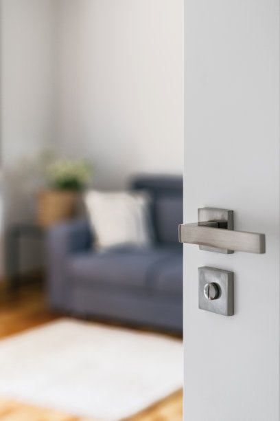 打开白色的门，可以看到客厅内部的景色图片下载