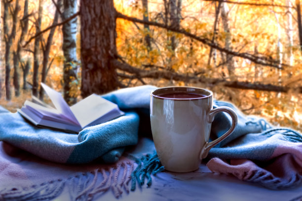 舒适，宽敞，家的舒适。秋季光悲伤。咖啡、毯子和一本书，背景是秋天傍晚的森林风景图片下载