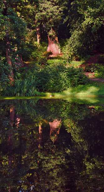 公园里的倒影图片下载