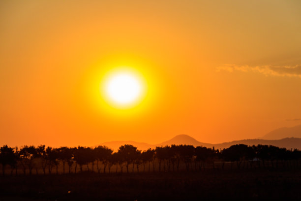 坦桑尼亚大草原上美丽的非洲日落图片下载