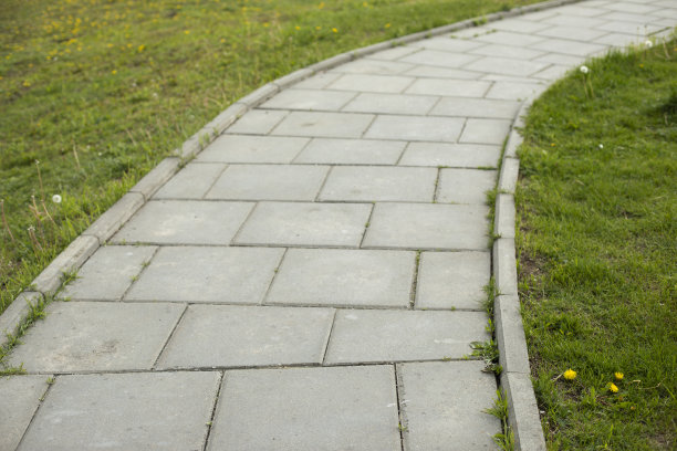 在公园的道路。穿过公园的瓷砖小径。步行区详情。散步的地方。图片下载