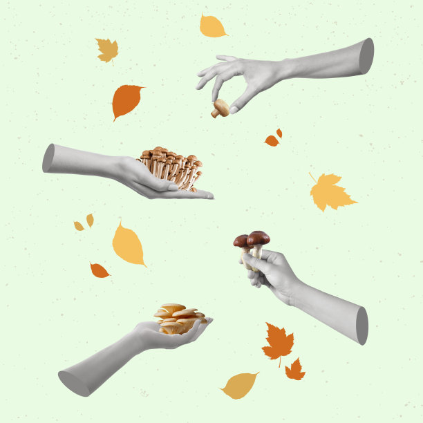 手握不同种类的蘑菇。图片下载