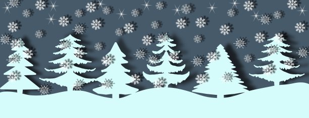 深灰色的夜晚映衬着白色的冷杉和飘落的雪花图片下载