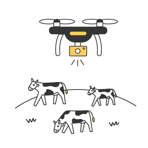 农业无人机监测牲畜。图片下载