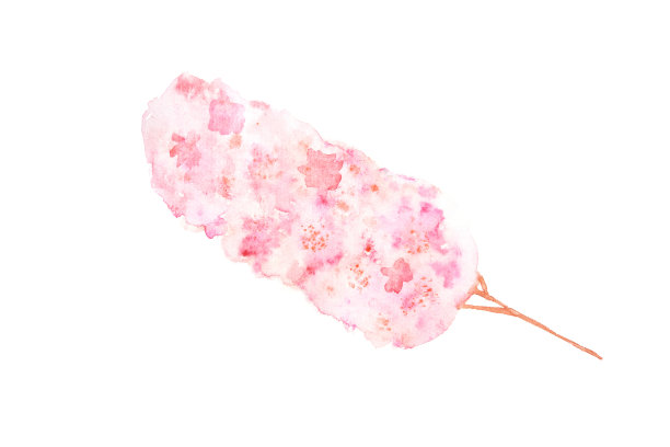 盛开的水彩粉色树。春天的花在树枝上盛开。美丽的图片下载