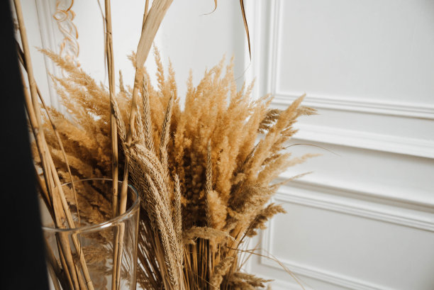 白底花瓶中的装饰性干花图片下载