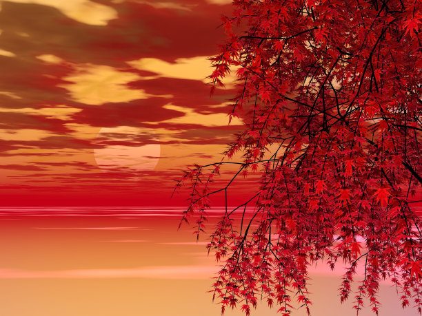 日落与枫树的奇幻景观图片下载