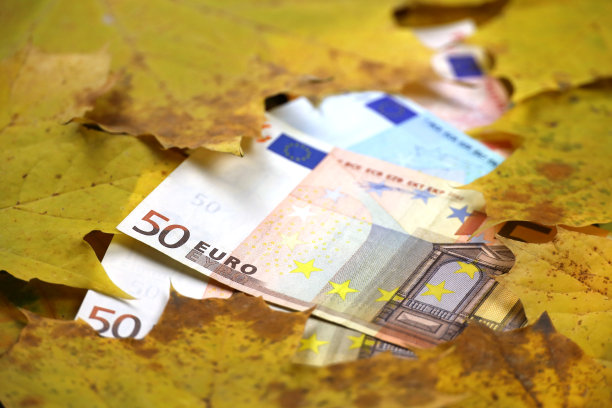 印有橙色枫叶的欧元钞票图片下载