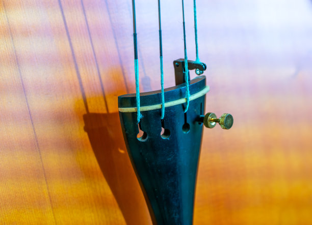 特写的小提琴图片下载