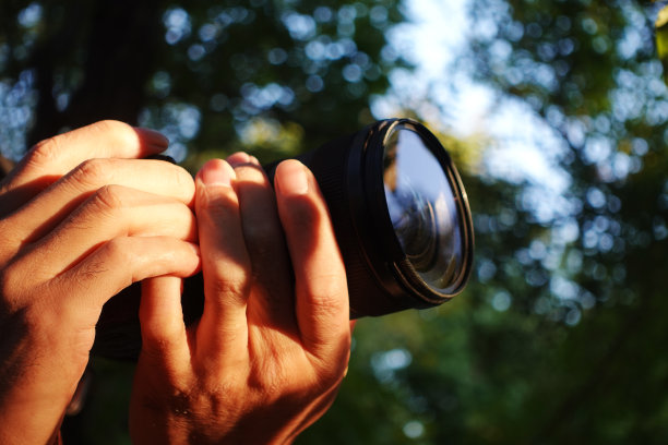 摄影师正在拍摄森林图片下载