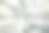 加拿大蒙特利尔老房子里翻新的现代公寓图片下载