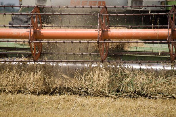 丰收的概念。农业的形象图片下载