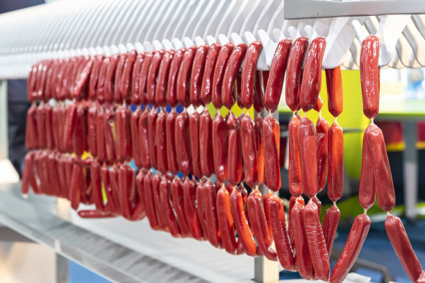 食品工业生产过程中现代自动化香肠挂线机上的香肠链图片下载