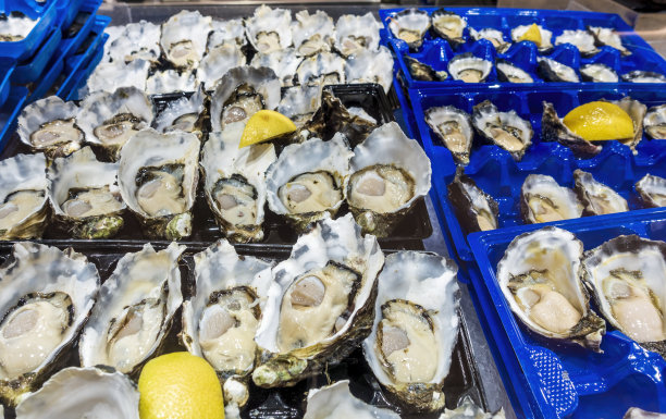新鲜去壳的生蚝放在托盘上图片下载