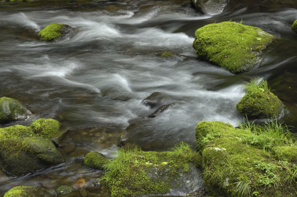 高山流水图片下载