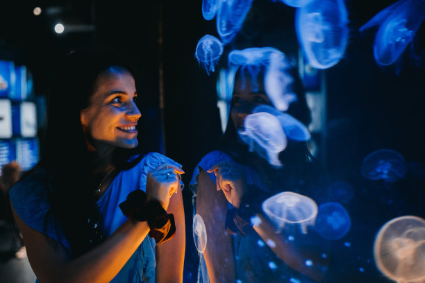 看水母的女人图片下载