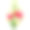 花束五彩百合花，黄花菜插图图片下载