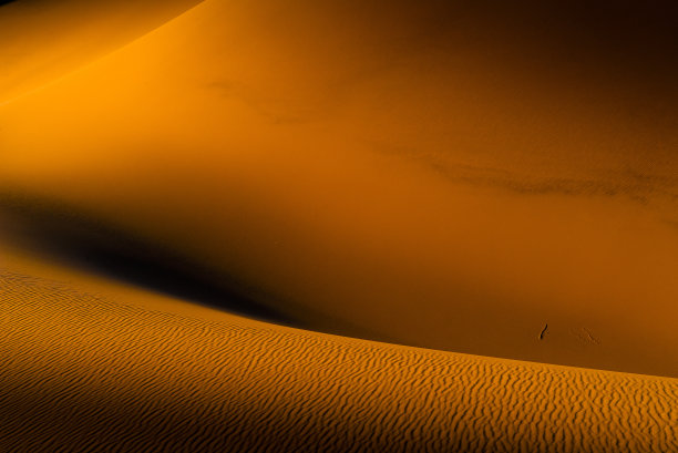 Sandwüste图片下载