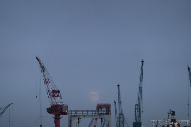 月亮从鹤的上方升起图片下载