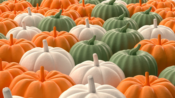 南瓜背景，感恩节和万圣节的概念图片下载
