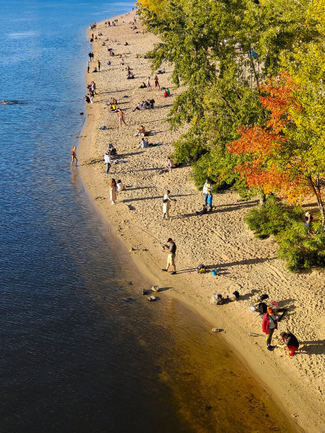 无人机俯瞰海滩，人们在水和树附近晒太阳和放松图片下载
