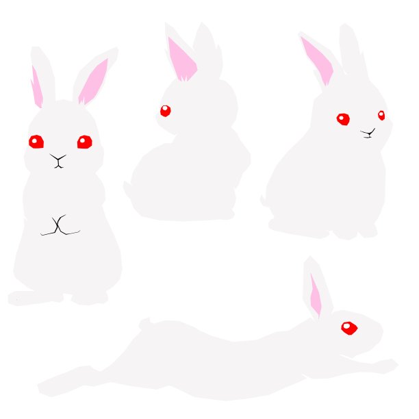 各种各样的白兔子摆出各种姿势图片下载