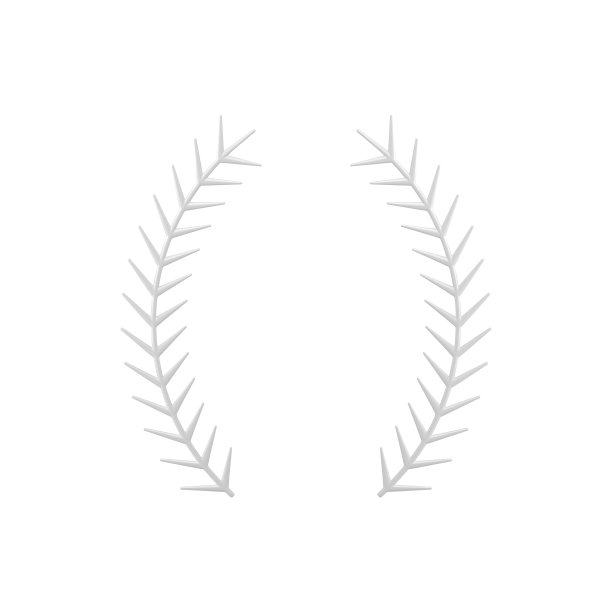 写实的白色柔情圣诞花环环绕冬季传统装饰元素3d图片下载