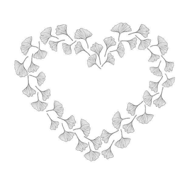 银杏的叶子图片下载