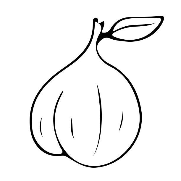 无花果的果实徒手画的图片下载