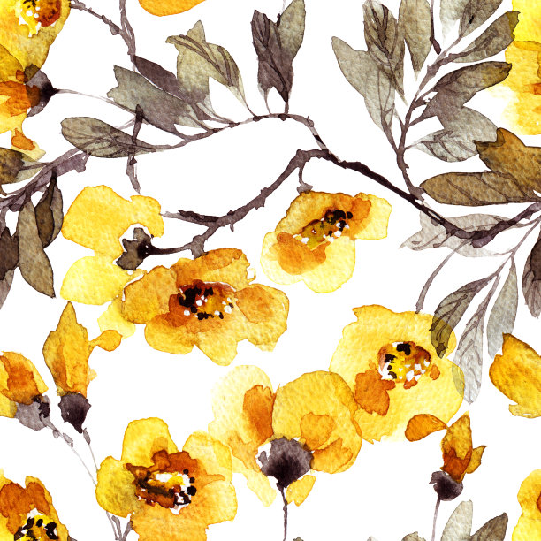 梅花开花树花花样图片下载