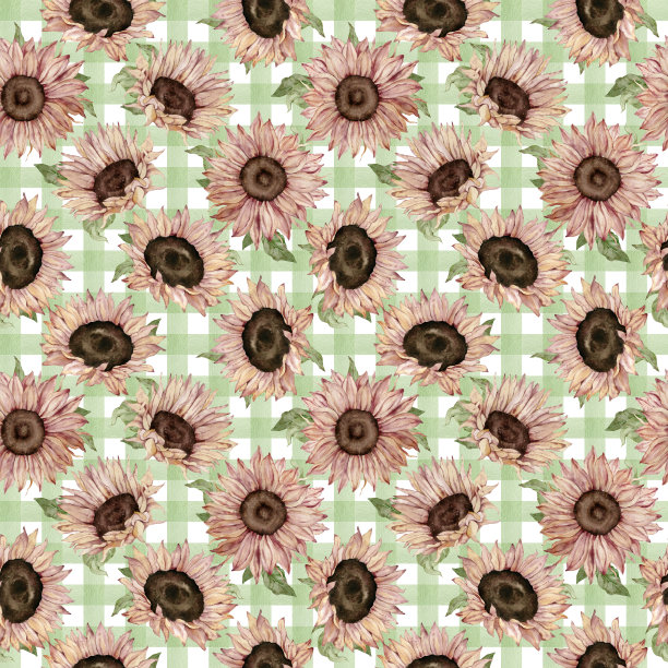 无缝图案的水彩向日葵与绿叶绿色格子背景。图片下载