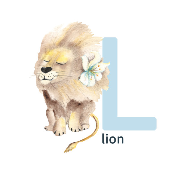 字母L，狮子，可爱的小朋友动物ABC字母。水彩插图孤立在白色背景。可以用来做字母或卡片给孩子学习英语词汇和书写吗图片下载