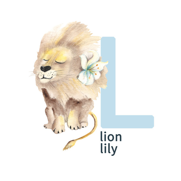 字母L，狮子和百合，可爱的孩子五颜六色的动物和花ABC字母。水彩插图孤立在白色背景。可用于字母或卡片，为孩子学习英语词汇和书写。图片下载