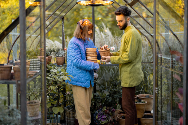 一对夫妇照料小橘子园的植物图片下载