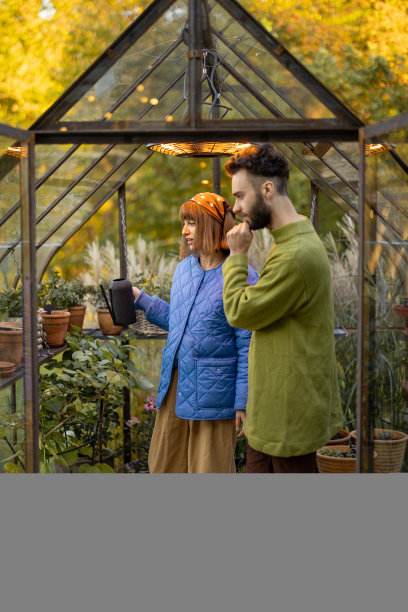 一对夫妇照料小橘子园的植物图片下载